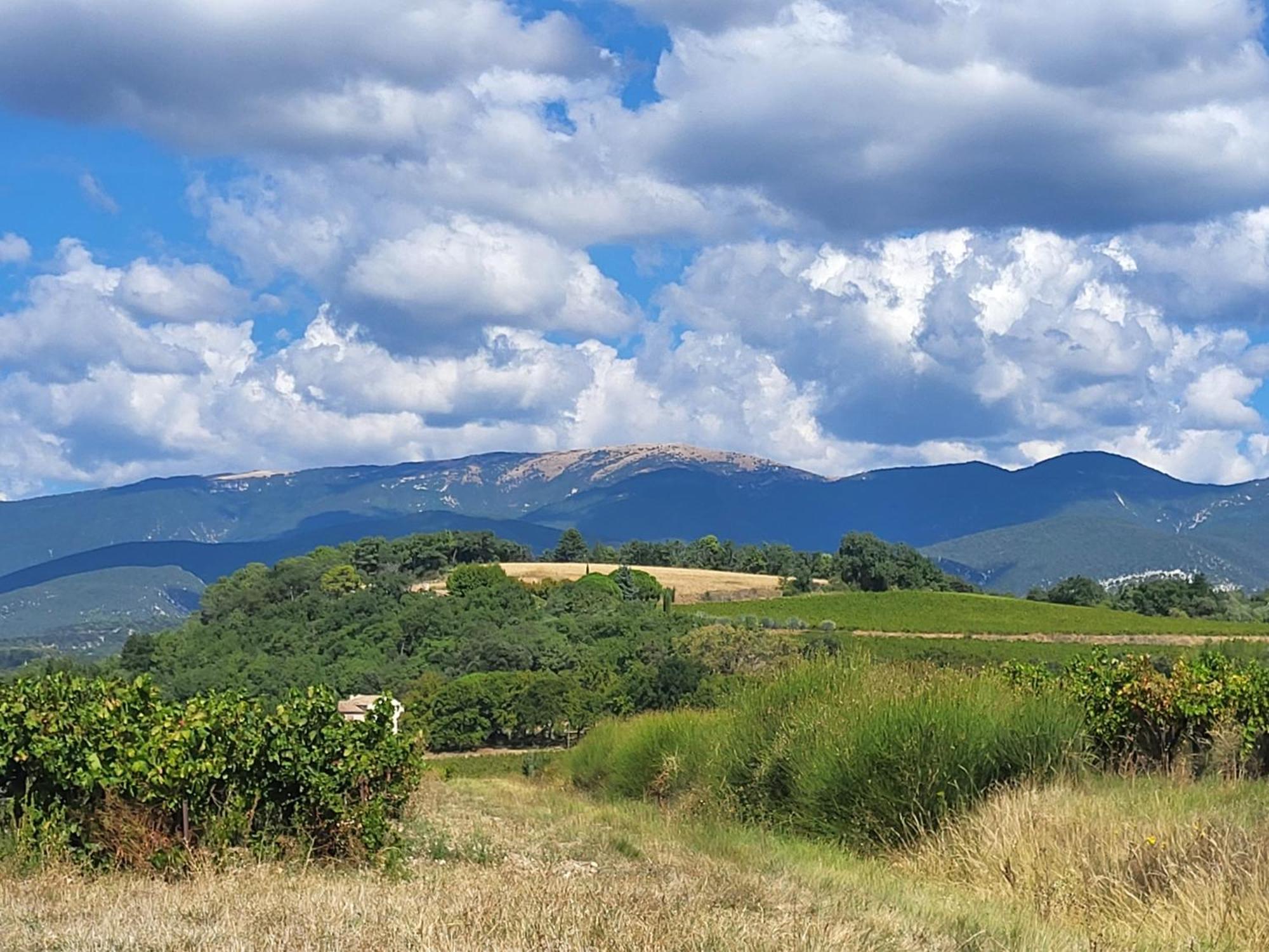 Les Saffres - Gite De Charme Pour 8 Personnes Valréas Exterior foto